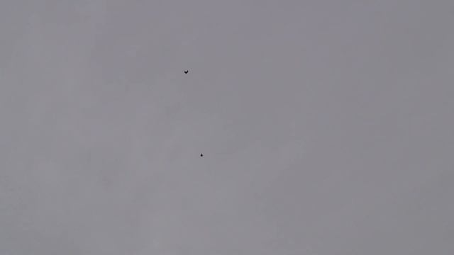 Умные Стройки