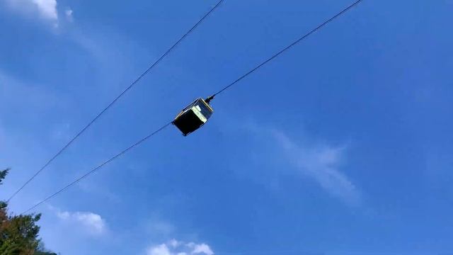 ОФФТОП ВЛОГ #4 ЗНАКОМЛЮСЬ С МЕСТНОЙ ФЛОРОЙ И ФАУНОЙ / МНОГО МАТА 18+ смотреть онлайн