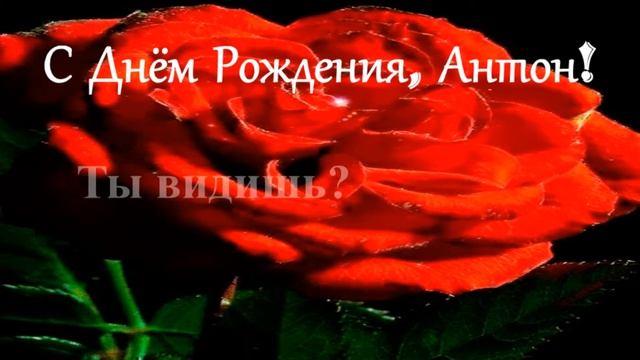 С Днём Рождения, Антон! смотреть онлайн