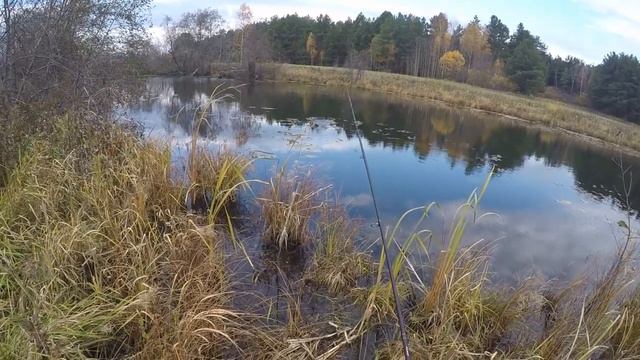 Ловля щуки в старице осенью на спиннинг смотреть онлайн