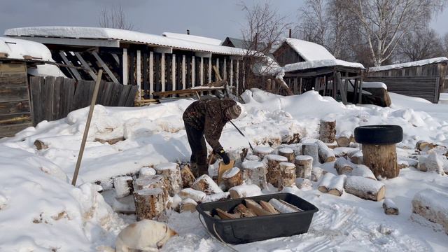 Жизнь в Сибирских Афинах 🪗 смотреть онлайн