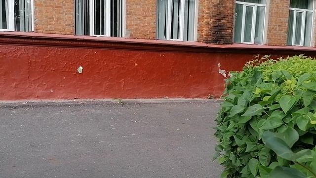 "Бабулинг" ("Похищение века") смотреть онлайн