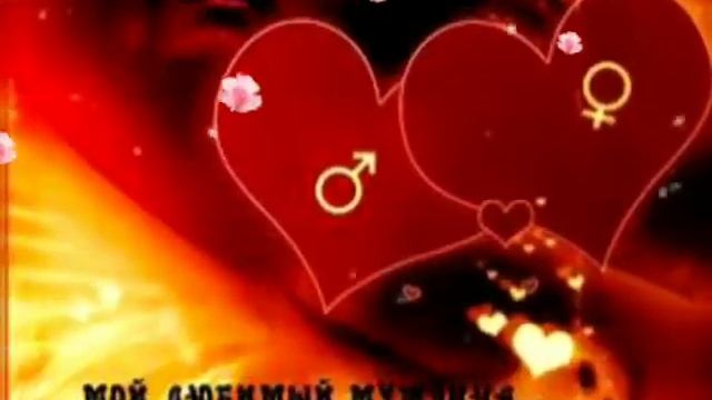 Ты мой любимый мужчина смотреть онлайн