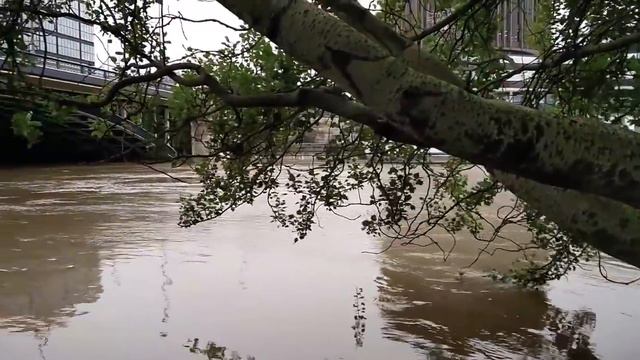 Paris Vlog #16 ★ ПАРИЖ ЗАТОПИЛО | Бонжур Франция смотреть онлайн