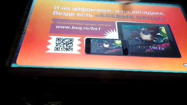 Боевые овцы #1
