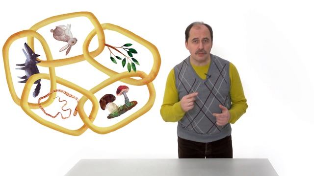 41. Природные сообщества. Часть 2 смотреть онлайн