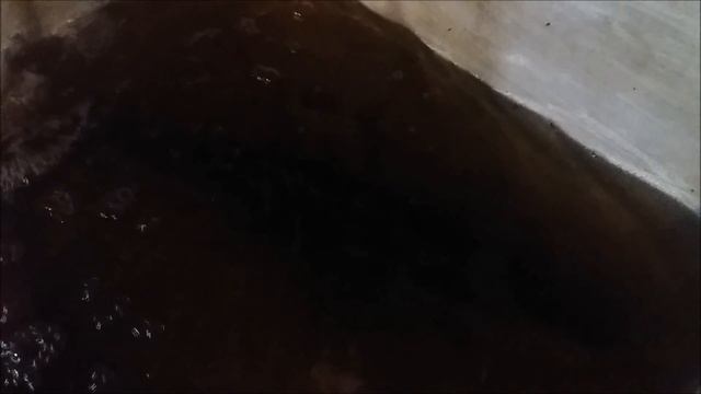 Получение личинки судака заводским способом. Нерест судака