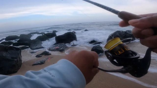 MIRA COMO CASI SACO MI LIMETE DE FLOUNDER USANDO CAMARON ARTIFICIAL GULP Y GRUBS. PESCANDO EN NJ. смотреть онлайн
