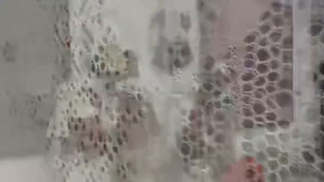 Выставка «Ремесло и дизайн» в галерее «Оренбургский пуховый платок»