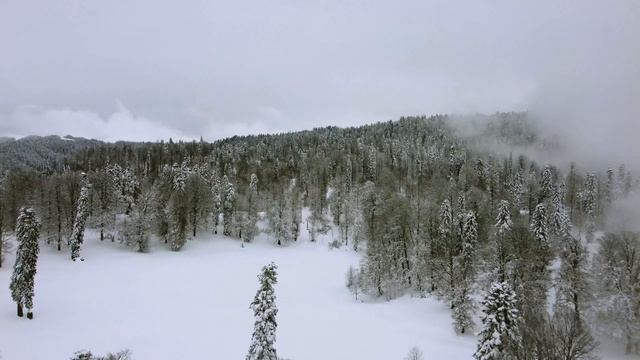 Абхазия. Зимняя Гагра. 4К. смотреть онлайн