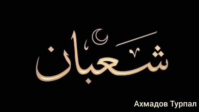 Хьехам??? смотреть онлайн