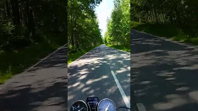 как не стоит ездить на мопеде смотреть онлайн