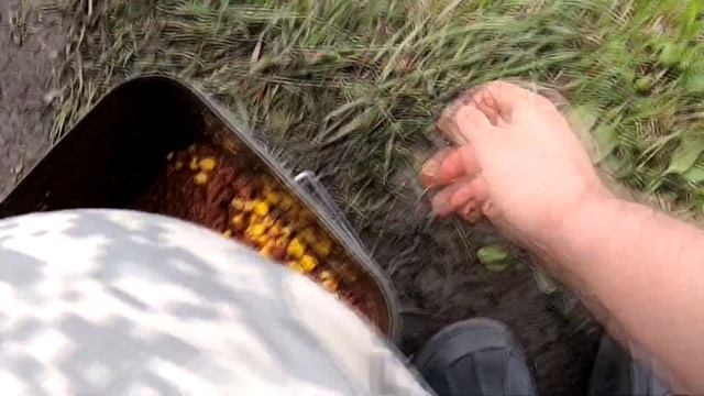 Вот это клев! На две палки не успеть. Сорога на фидер. Быстрая рыбалка смотреть онлайн