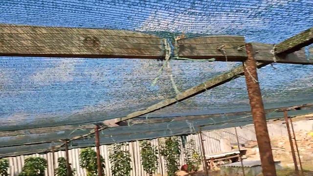 Притеняющий навес своими руками!!! смотреть онлайн