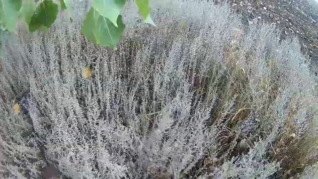 Хороший металл у трассы смотреть онлайн