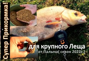 Прикормка на Трофейного Леща. Прикормка от Палыча.