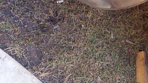 ещё один вариант убрать(раскрошить) сломанный метчик