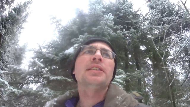 охота на зайца с русскими-пегими гончими. часть 8 заяц профессионал победил! смотреть онлайн