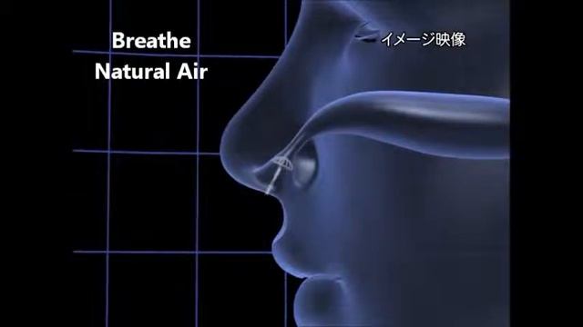Японские фильтры nosemask (pit stopper) от аллергии смотреть онлайн