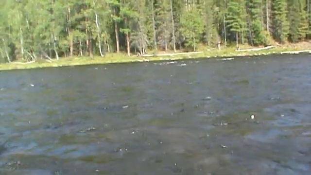 #ПОРЕКАМСИБИРИ ТРОФЕЙНЫЙ ХАРИУС Ч2 смотреть онлайн