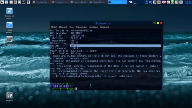 HD Sentinel gui для linux (Debian buster xfce) смотреть онлайн