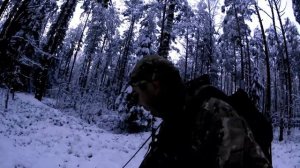 Про ремонт ошейника Hunter DTR 25000.