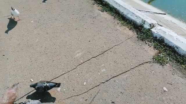 Hello heat🖐️ Ise latte cool me down - привет жара🖐️Айс латте охлади меня смотреть онлайн