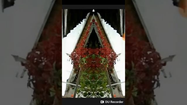 Фотографии сделанные особой камерой. смотреть онлайн