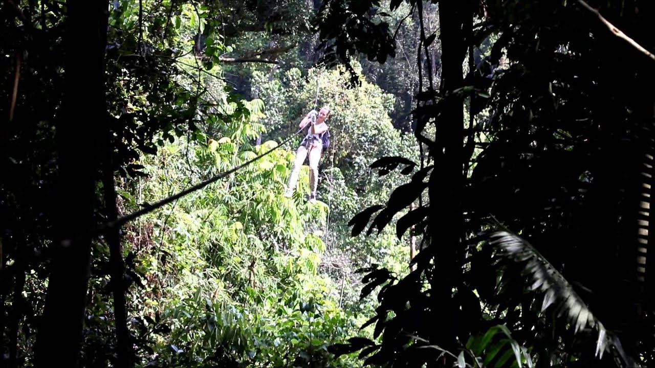 Video Whistling ziplines 2013 смотреть онлайн