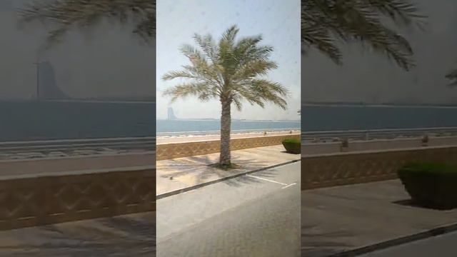 Тур из Калининграда Palm, Sofitel the Palm, Дубай Софитель, Съемка Бронировать тур +7(9082)900095 смотреть онлайн