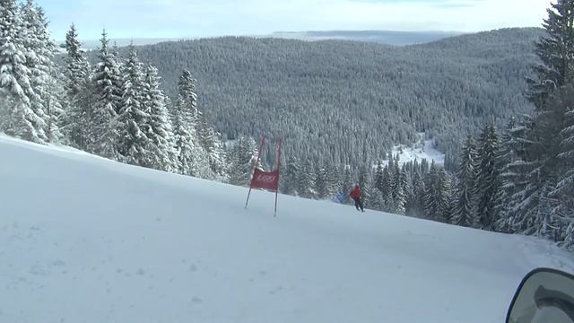 Elvedina Muzaferija jedina predstavnica BiH na SP u alpskom skijanju u Areu смотреть онлайн