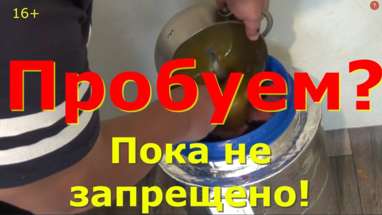 Лечение крови и восстановление иммунитета. Новое от ЭмЭко.