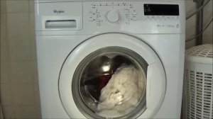 Whirlpool Primo 1406 UM, Daily load with intensive rinse 40 °C washing machine, lavadora movie #192