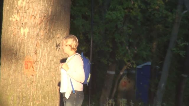 Желуди, что можно сделать с ними в это время смотреть онлайн