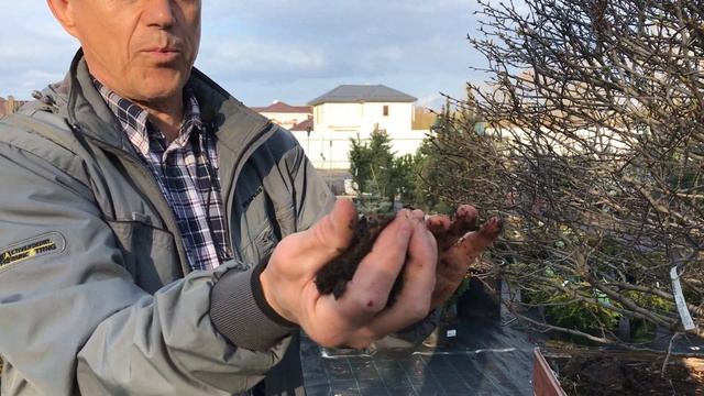 Полив растений. Как правильно поливать? смотреть онлайн