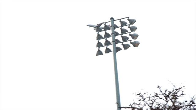 Georgetown University | Campus Tour in Washington, DC смотреть онлайн