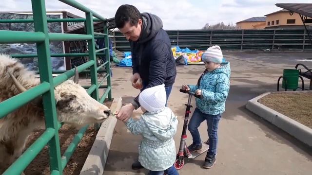 Планета обезьян/ Апрель 2019. смотреть онлайн