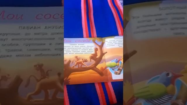 Обзор журнала "Животные дикой природы" №6 животные саванны зебра и львица. смотреть онлайн