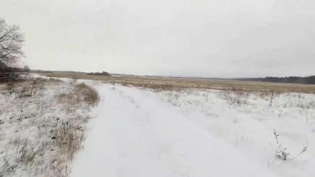 Фотоохота с Альбертом. Белыми тропами. смотреть онлайн