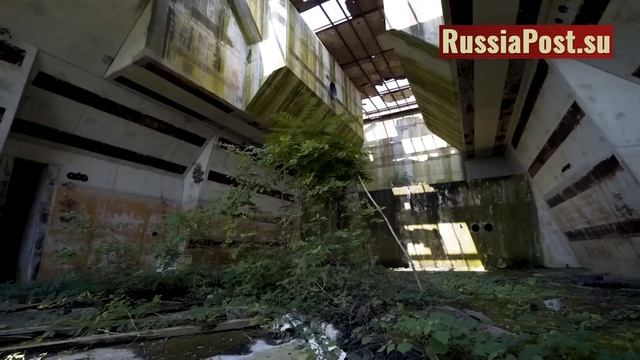 Гегемон что-то совсем плохой…