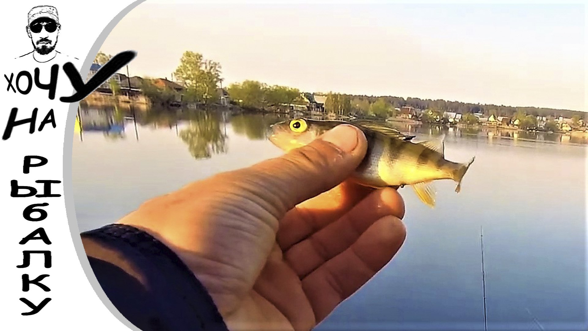 С МОРМЫШКОЙ НА ПРУД утренняя рыбалка на мормоспиннинг в мае смотреть онлайн