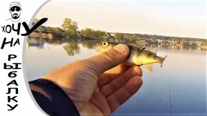 С МОРМЫШКОЙ НА ПРУД утренняя рыбалка на мормоспиннинг в мае