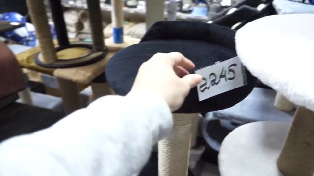 VLOG Покупки в зоомагазине. Подарок от зубного врача. Купание смотреть онлайн