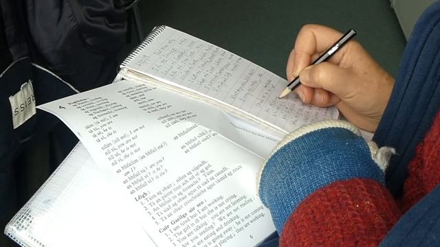 What About Northern Ireland? The Revival Of The Irish Language In Northern Ireland