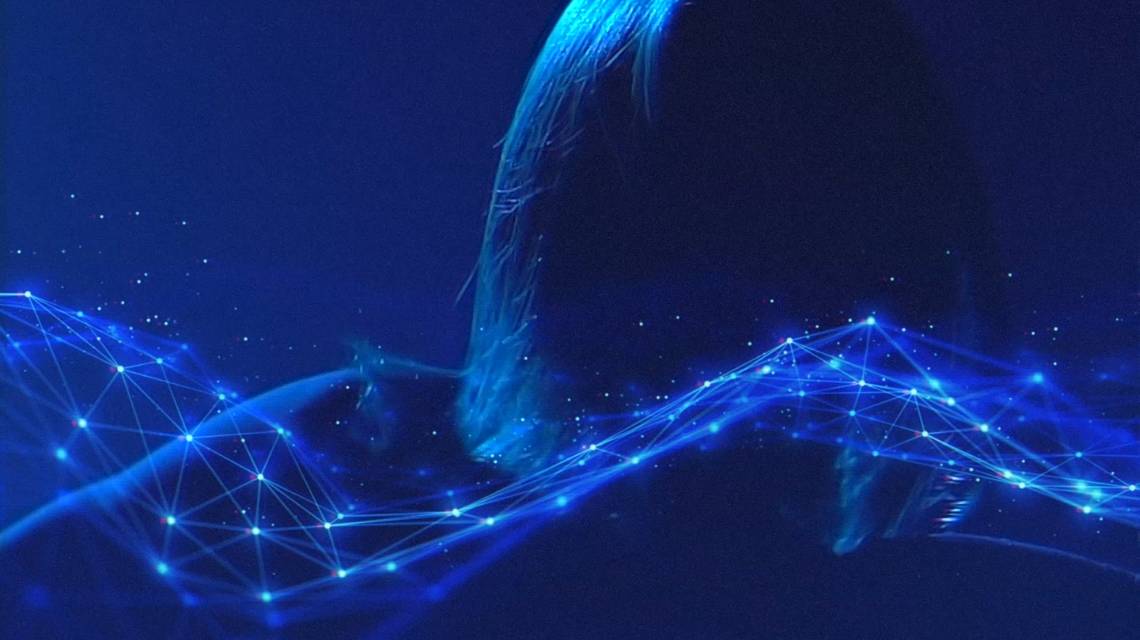 Infinity Ink - Infinity Dubdogz Bhaskar Remix Bass Boosted