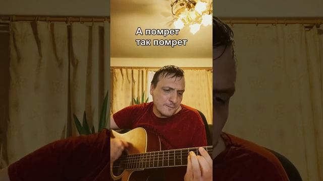 Кино Муравейник кавер под Гитару разбор аккорды #гитарист #cover #кавернагитаре смотреть онлайн