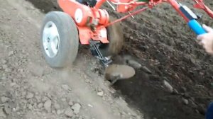 Посадка картошки мотоблоком "Агат" 2020!
