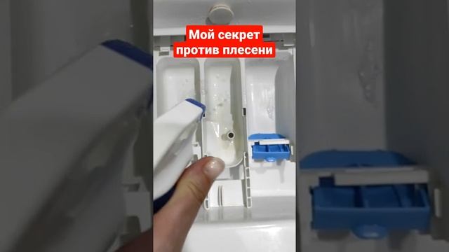 Мой секрет против плесени в лотке. смотреть онлайн
