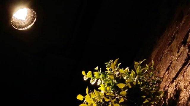 ОБЗОР НА VIVO Y35 / ЗАКАЗАЛ НА OZON/ СКОЛЬКО СТОИТ???.... смотреть онлайн