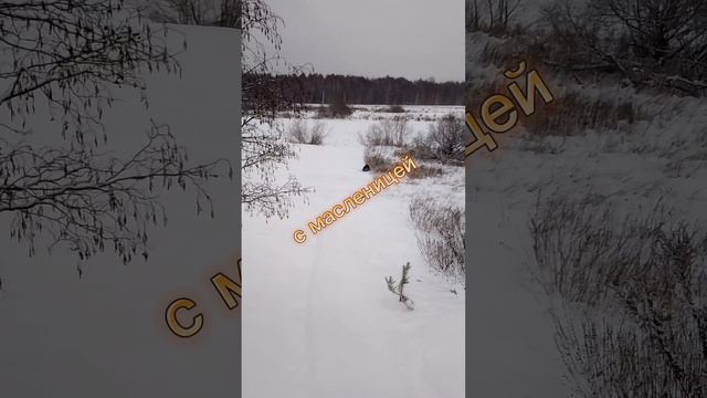 хы смотреть онлайн
